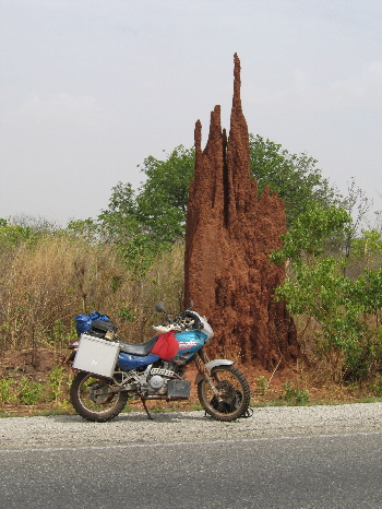 ghana termoite.JPG